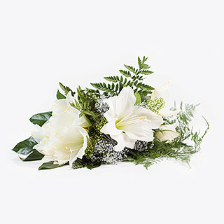 2b1d686c-bf95-4fb4-a392-08c4547fed32