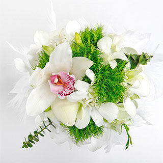 13e79df0-8f25-4638-a20d-56c1dad65801