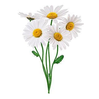 42ee1058-8a69-48d6-bbf6-fa9876a422ae